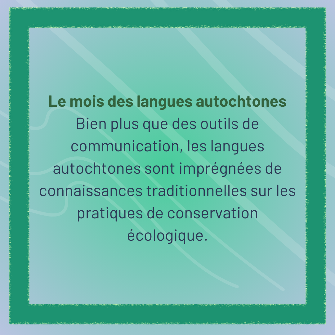Actualités mois de la TSE (36)